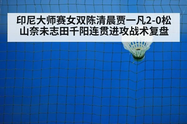 badminton net play
